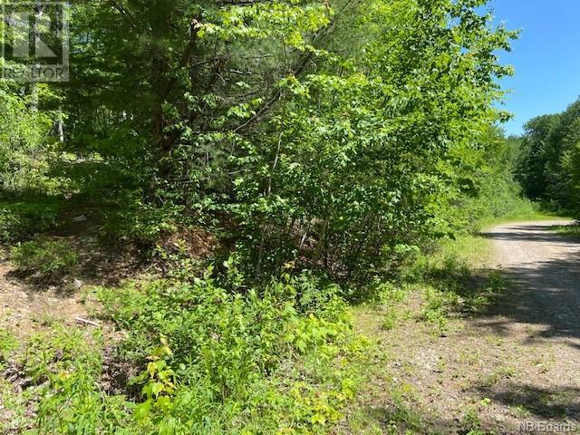 Lot 3 Maxtan Drive, Penobsquis, New Brunswick  E4G 2A4 - Photo 6 - NB088699