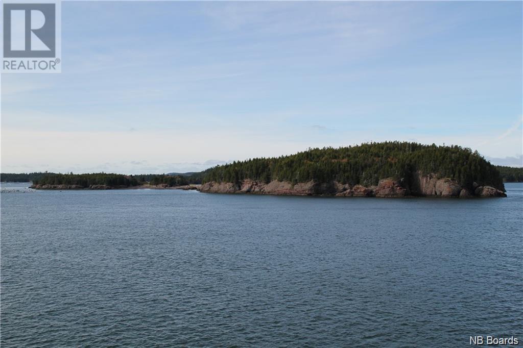 - Hills Island/mccann Island, Back Bay, New Brunswick  E5G 1G1 - Photo 3 - NB088761