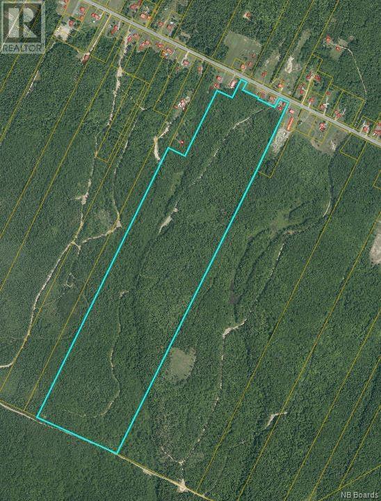 94.1 Acres Rte 450, Saint-Wilfred, New Brunswick  E9G 2T9 - Photo 1 - NB089590