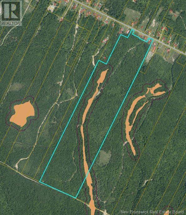 94.1 Acres Rte 450, Saint-Wilfred, New Brunswick  E9G 2T9 - Photo 12 - NB089590
