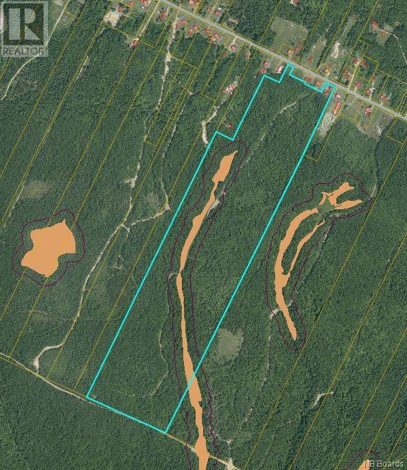 94.1 Acres Rte 450, Saint-Wilfred, New Brunswick  E9G 2T9 - Photo 7 - NB089590