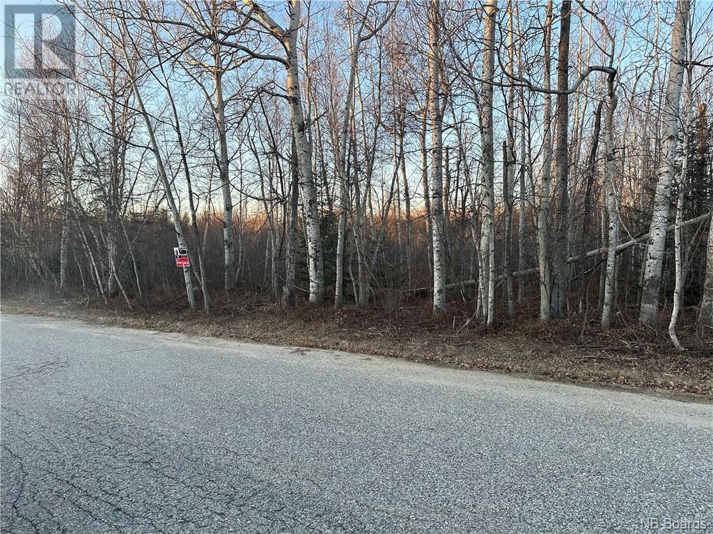 -- O'hearn Road, Napan, New Brunswick  E1N 5H2 - Photo 2 - NB089846