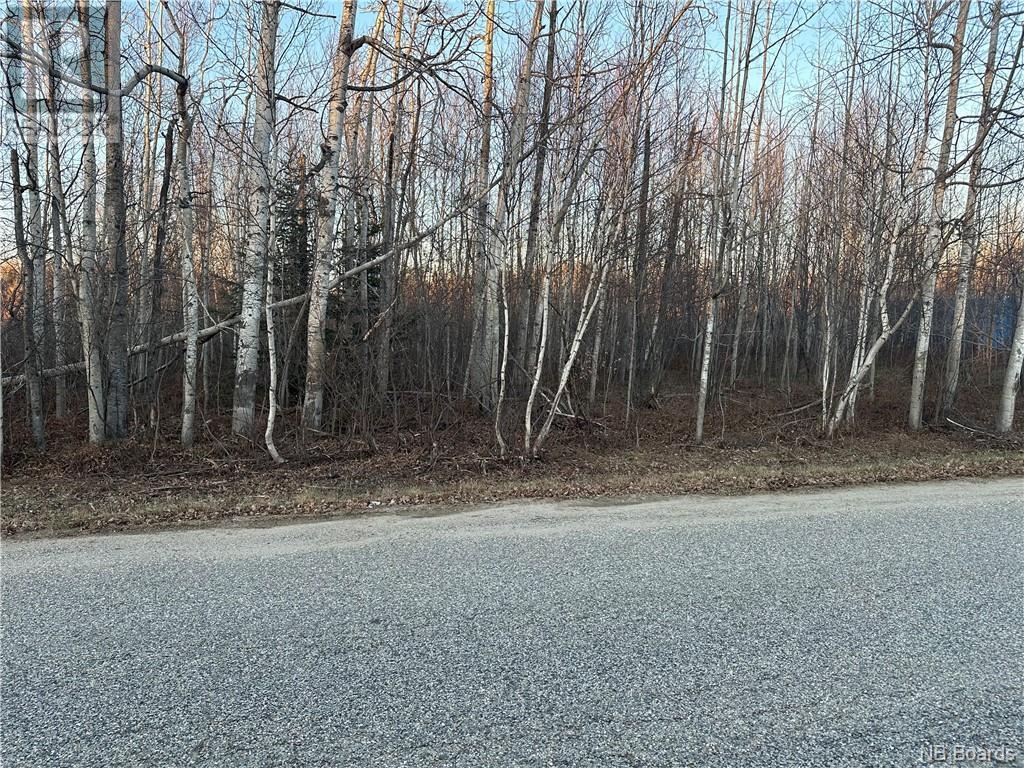 -- O'hearn Road, Napan, New Brunswick  E1N 5H2 - Photo 3 - NB089846