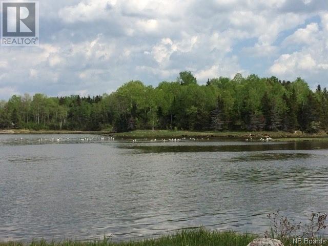 Lot Benjamin River Mouth Road, Benjamin River, New Brunswick  E8G 1P3 - Photo 25 - NB090050