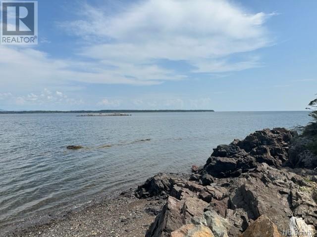 Lot Benjamin River Mouth Road, Benjamin River, New Brunswick  E8G 1P3 - Photo 5 - NB090050