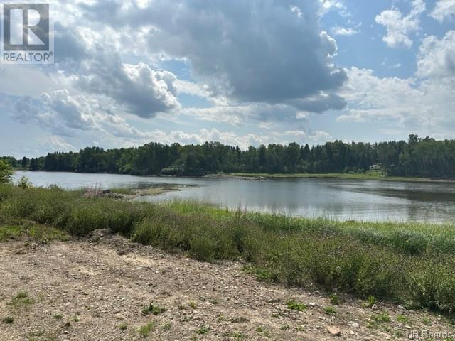 Lot Benjamin River Mouth Road, Benjamin River, New Brunswick  E8G 1P3 - Photo 6 - NB090050