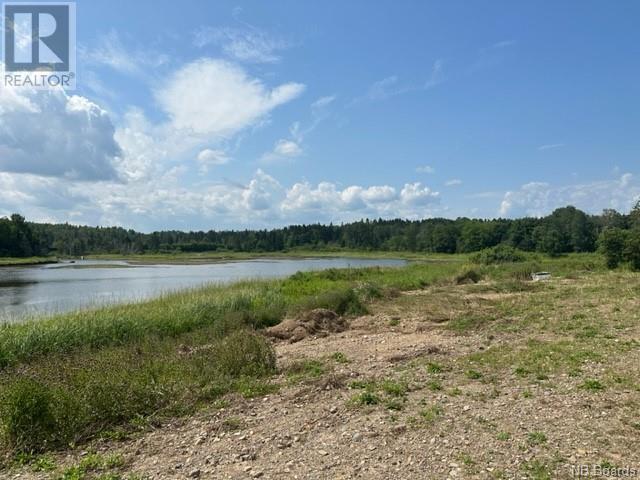 Lot Benjamin River Mouth Road, Benjamin River, New Brunswick  E8G 1P3 - Photo 7 - NB090050