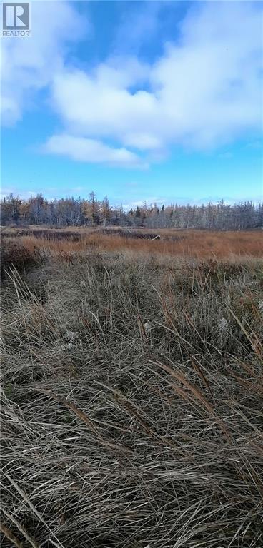 Lot Route 117, Pointe-Sapin, New Brunswick  E9A 1S9 - Photo 8 - M154244