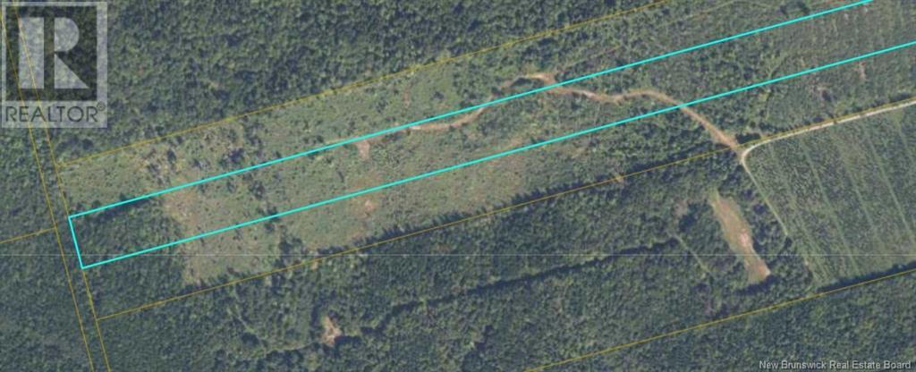 000 620 Route, Tay Creek, New Brunswick  E6B 1K5 - Photo 11 - NB090477