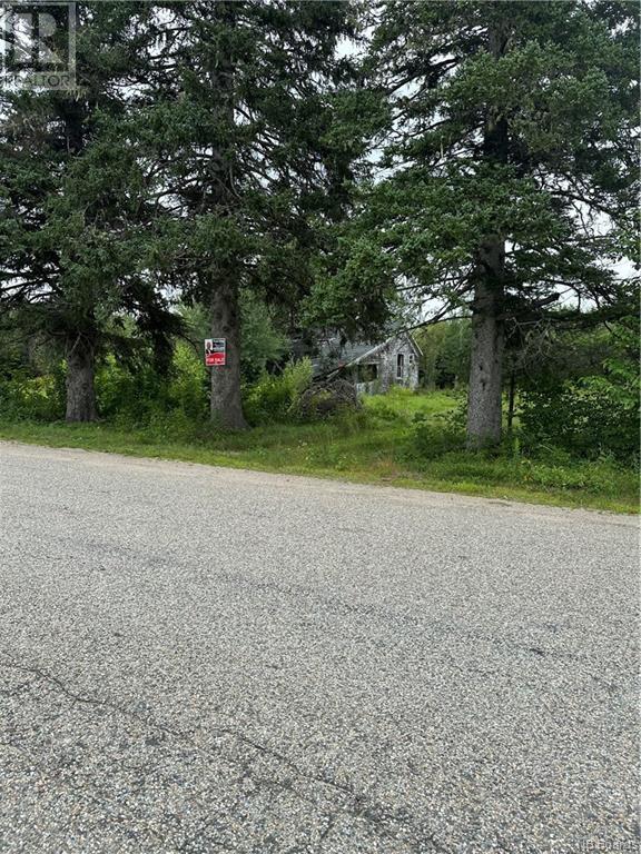 435 Auburnville Road, Bay Du Vin, New Brunswick  E1N 5N5 - Photo 3 - NB090754