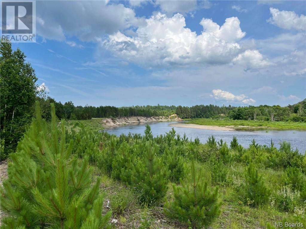 Lot 99-1 Red Pine Lane, sillikers, New Brunswick