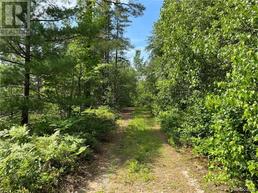 Lot 99-1 Red Pine Lane, Sillikers, New Brunswick  E9E 1Y8 - Photo 7 - NB090840