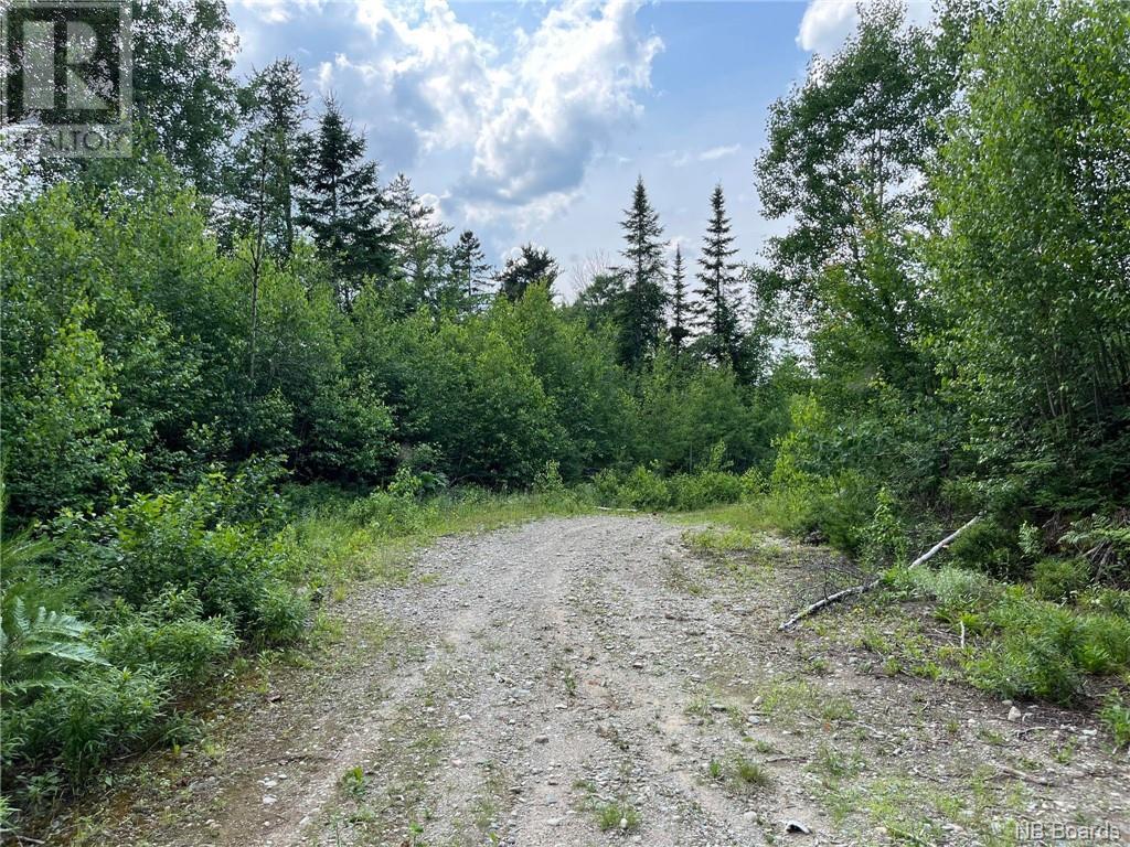 75 Acres Johnson Bridge Road, Sillikers, New Brunswick  E9E 1Y8 - Photo 10 - NB090845