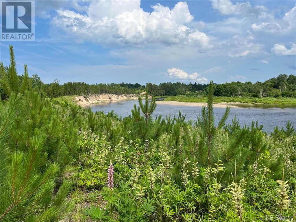 75 Acres Johnson Bridge Road, Sillikers, New Brunswick  E9E 1Y8 - Photo 11 - NB090845