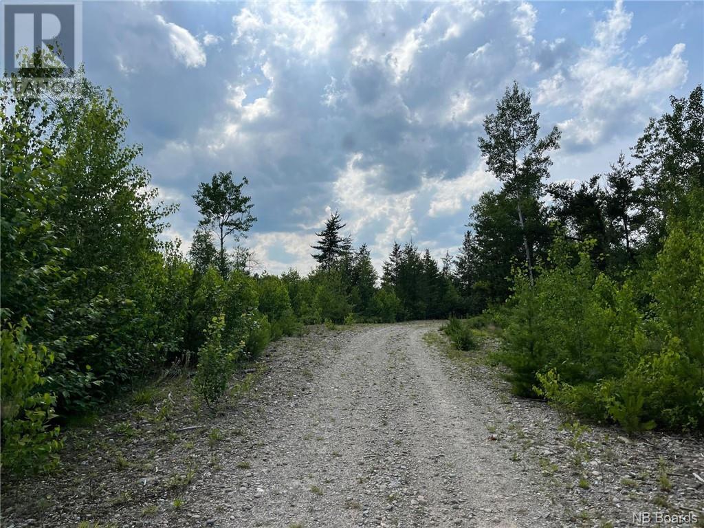 75 Acres Johnson Bridge Road, Sillikers, New Brunswick  E9E 1Y8 - Photo 7 - NB090845