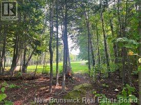 1880-1890 Gowan Brae Drive, Bathurst, New Brunswick  E2A 4X5 - Photo 4 - NB091529