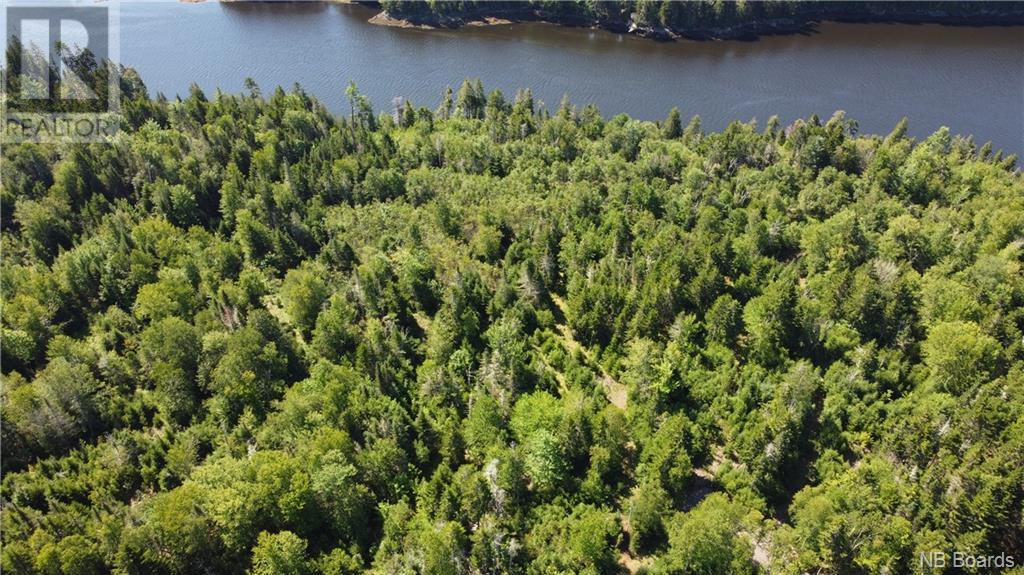 Lot 2021-09 Shore Road, St George, New Brunswick  E5C 3R2 - Photo 12 - NB091787