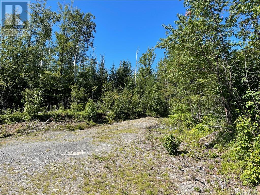 Lot 2021-09 Shore Road, St George, New Brunswick  E5C 3R2 - Photo 8 - NB091787