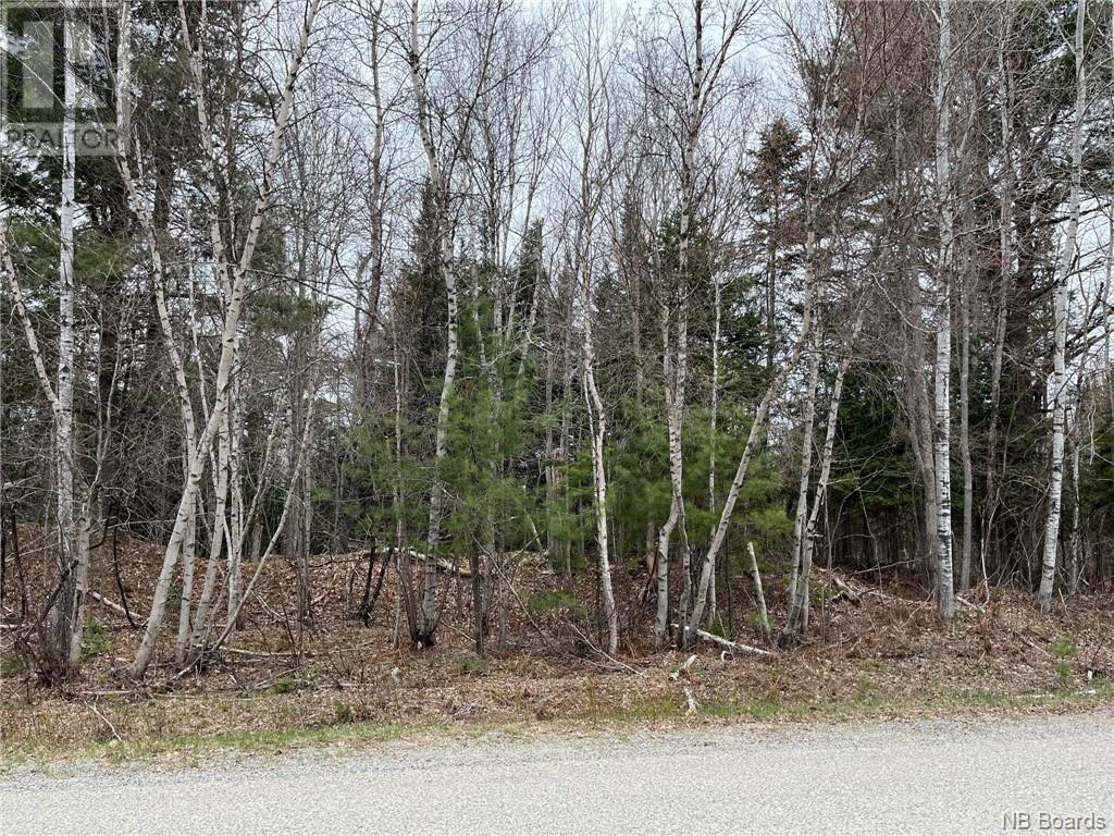 1.5 Acres Hambrook Road, Renous, New Brunswick  E9E 2C3 - Photo 3 - NB091837