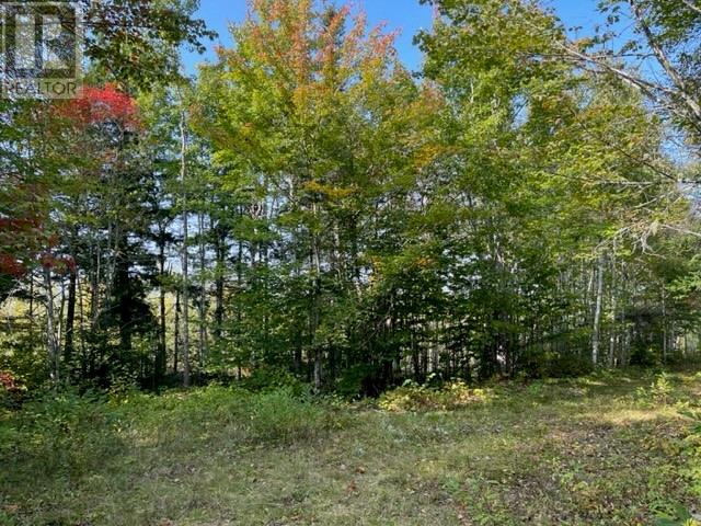 Camp Berry Road, Elgin, New Brunswick  E4Z 2R9 - Photo 12 - M155248