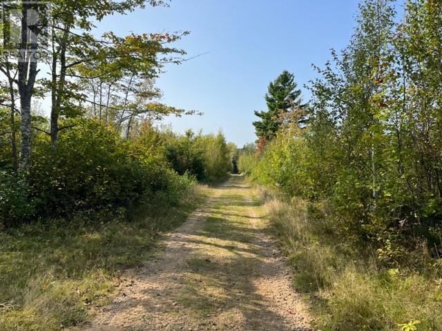 Camp Berry Road, Elgin, New Brunswick  E4Z 2R9 - Photo 13 - M155248