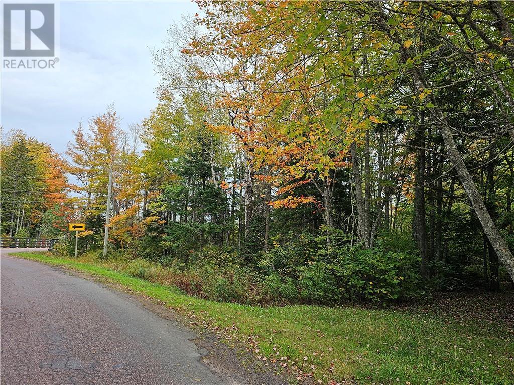 Lot Maclean Cross Road, Irishtown, New Brunswick  E1H 1R6 - Photo 2 - M155561