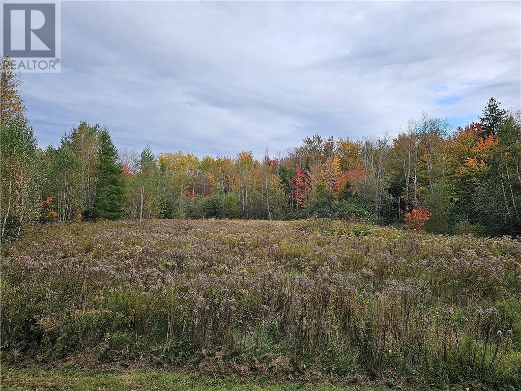 Lot Maclean Cross Road, Irishtown, New Brunswick  E1H 1R6 - Photo 3 - M155561