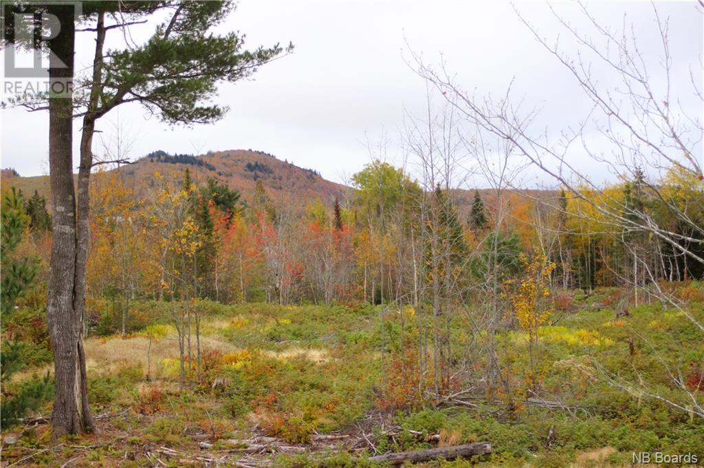 Vacant Lake Road South, Upham, New Brunswick  E5N 3J1 - Photo 1 - NB093031