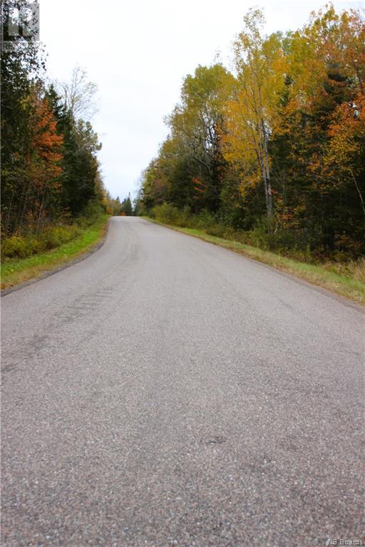 Vacant Lake Road South, Upham, New Brunswick  E5N 3J1 - Photo 10 - NB093031