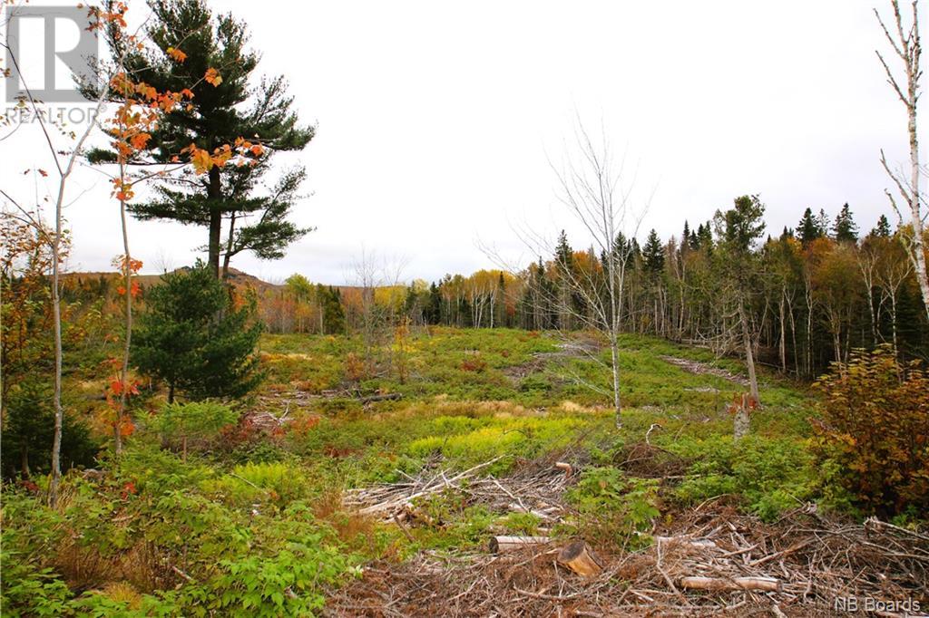 Vacant Lake Road South, Upham, New Brunswick  E5N 3J1 - Photo 2 - NB093031