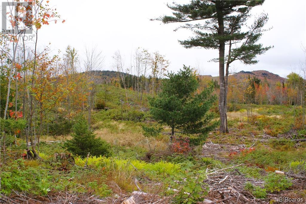 Vacant Lake Road South, Upham, New Brunswick  E5N 3J1 - Photo 3 - NB093031