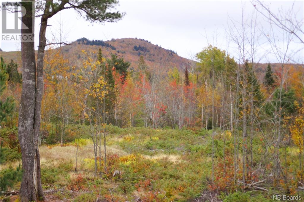 Vacant Lake Road South, Upham, New Brunswick  E5N 3J1 - Photo 4 - NB093031