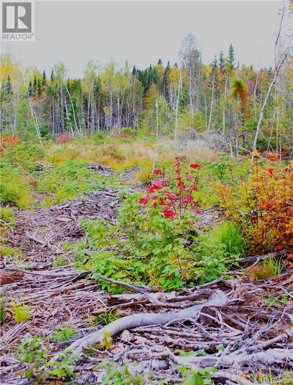 Vacant Lake Road South, Upham, New Brunswick  E5N 3J1 - Photo 6 - NB093031