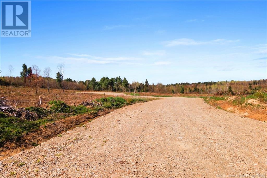 Lot 23-8 Route 105, Nackawic, New Brunswick  O0O 0O0 - Photo 10 - NB093088
