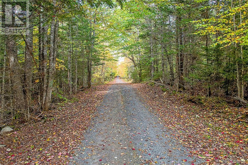 Lot Clatter Road, Clarence Ridge, New Brunswick  O0O 0O0 - Photo 10 - NB093123