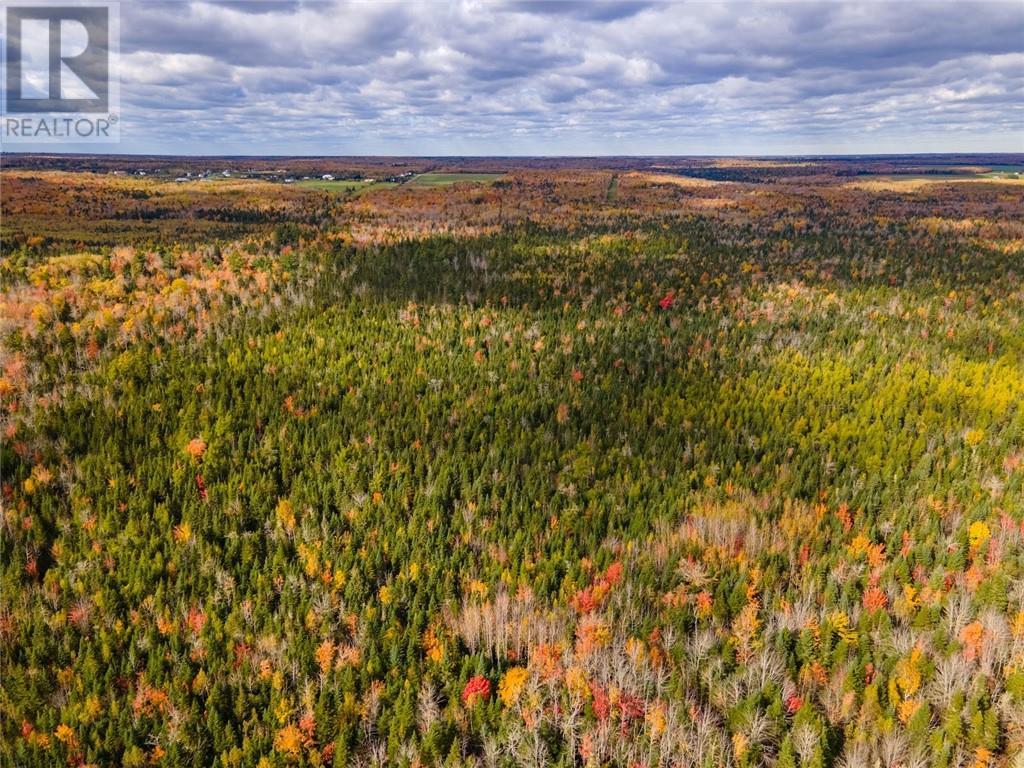 Lot Maclean Crossroad, Irishtown, New Brunswick  E1H 1R6 - Photo 10 - M155858