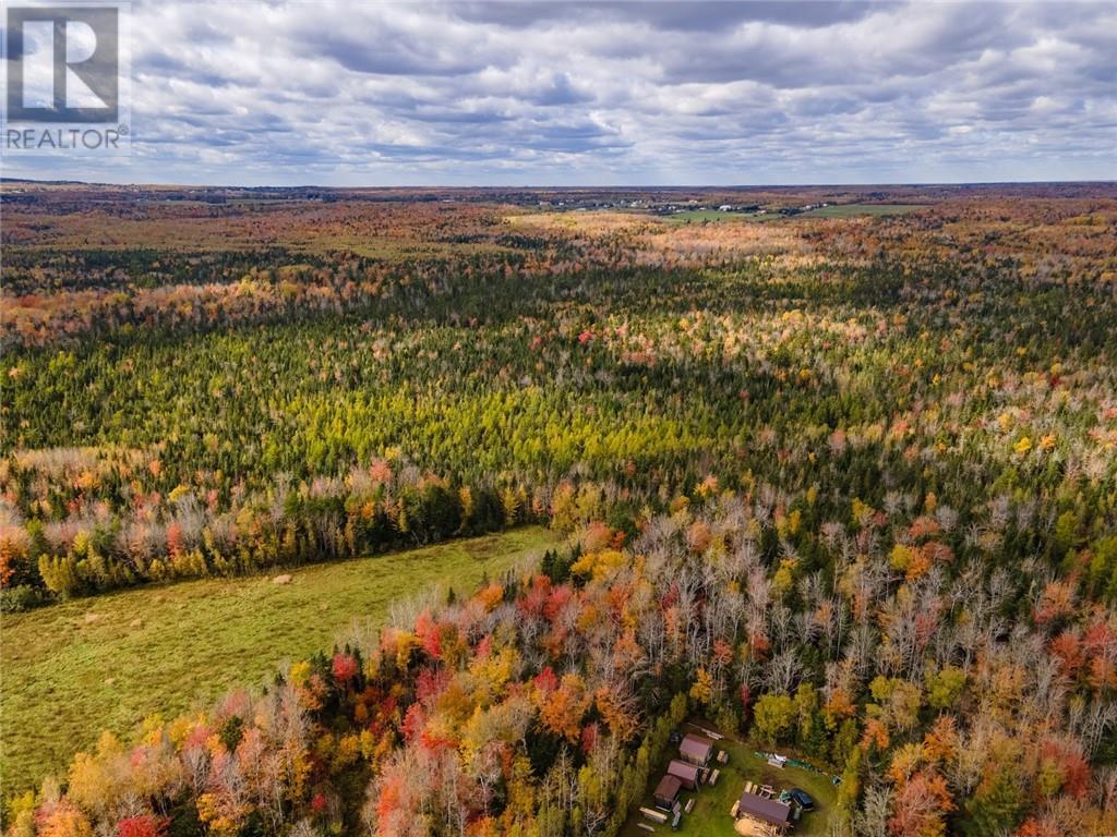 Lot Maclean Crossroad, Irishtown, New Brunswick  E1H 1R6 - Photo 8 - M155858