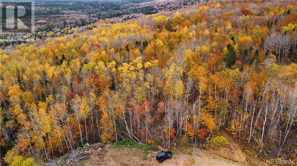 Lot 87-02 Skiers Lane, Central Hainesville, New Brunswick  E6E 2B8 - Photo 12 - NB093201