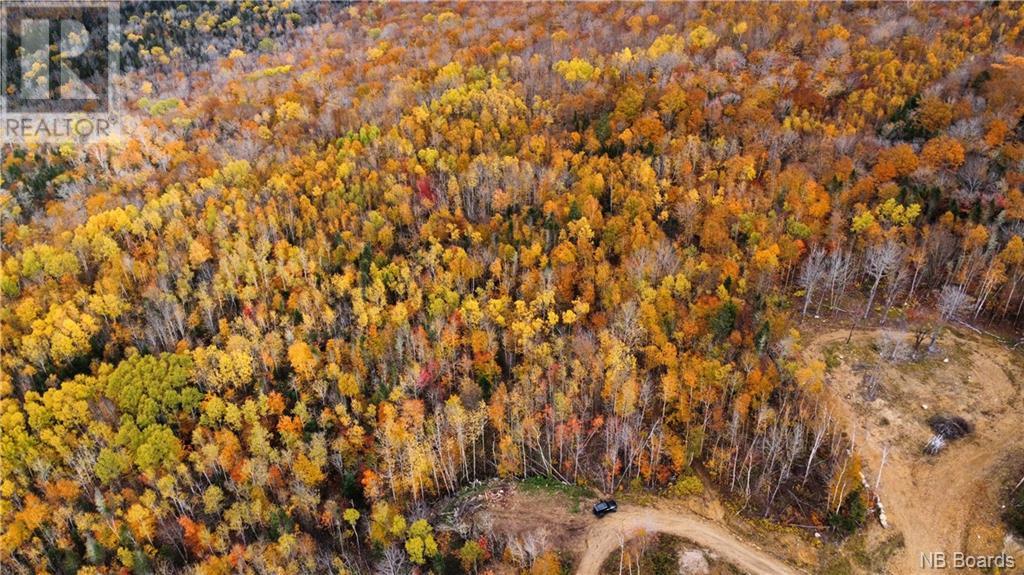 Lot 87-02 Skiers Lane, Central Hainesville, New Brunswick  E6E 2B8 - Photo 16 - NB093201