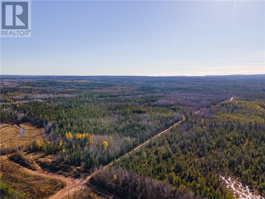 Lot Crown Reserve Road, Riverview, New Brunswick  E1B 3Y8 - Photo 12 - M156010