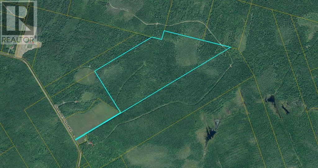 Lot 651 St. Lazare Road, champ dore, New Brunswick