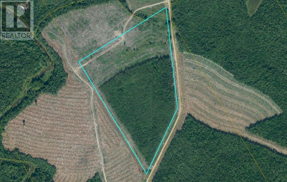 Lot Douglas Road, Coates Mills, New Brunswick  E4V 3E3 - Photo 1 - M156083