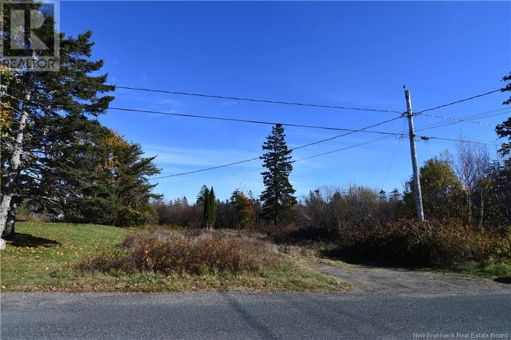 - Hutchins Heights Drive, Welshpool, New Brunswick  E5E 1H2 - Photo 3 - NB093708