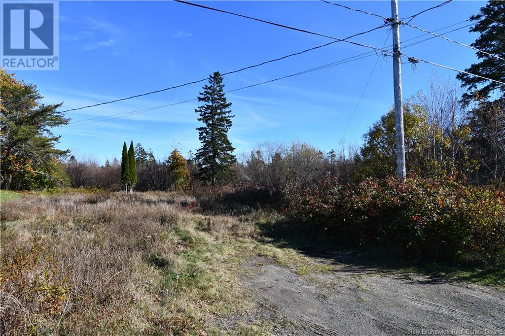 - Hutchins Heights Drive, Welshpool, New Brunswick  E5E 1H2 - Photo 4 - NB093708