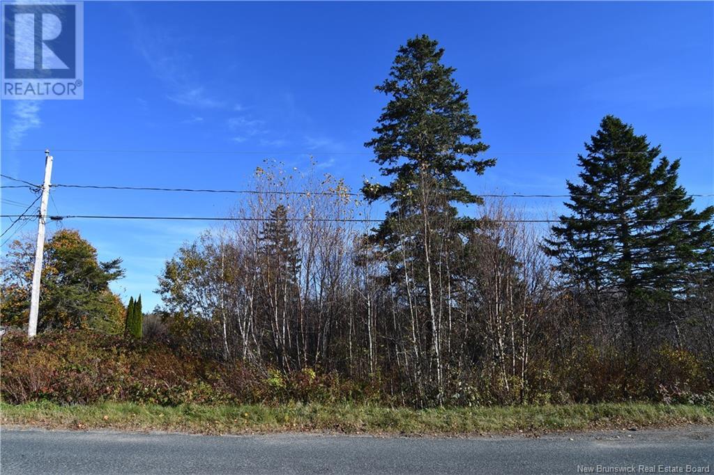 - Hutchins Heights Drive, Welshpool, New Brunswick  E5E 1H2 - Photo 6 - NB093708