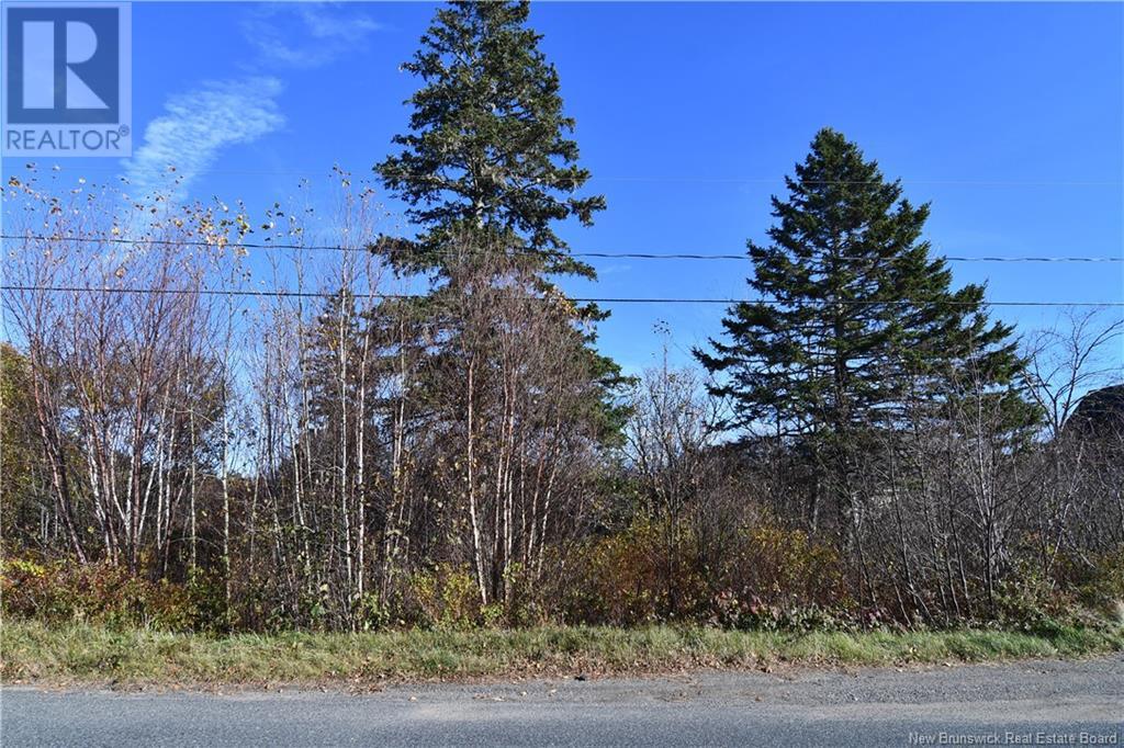 - Hutchins Heights Drive, Welshpool, New Brunswick  E5E 1H2 - Photo 7 - NB093708