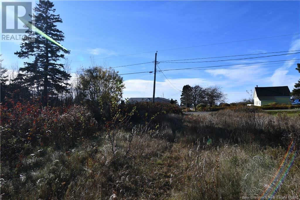 - Hutchins Heights Drive, Welshpool, New Brunswick  E5E 1H2 - Photo 8 - NB093708