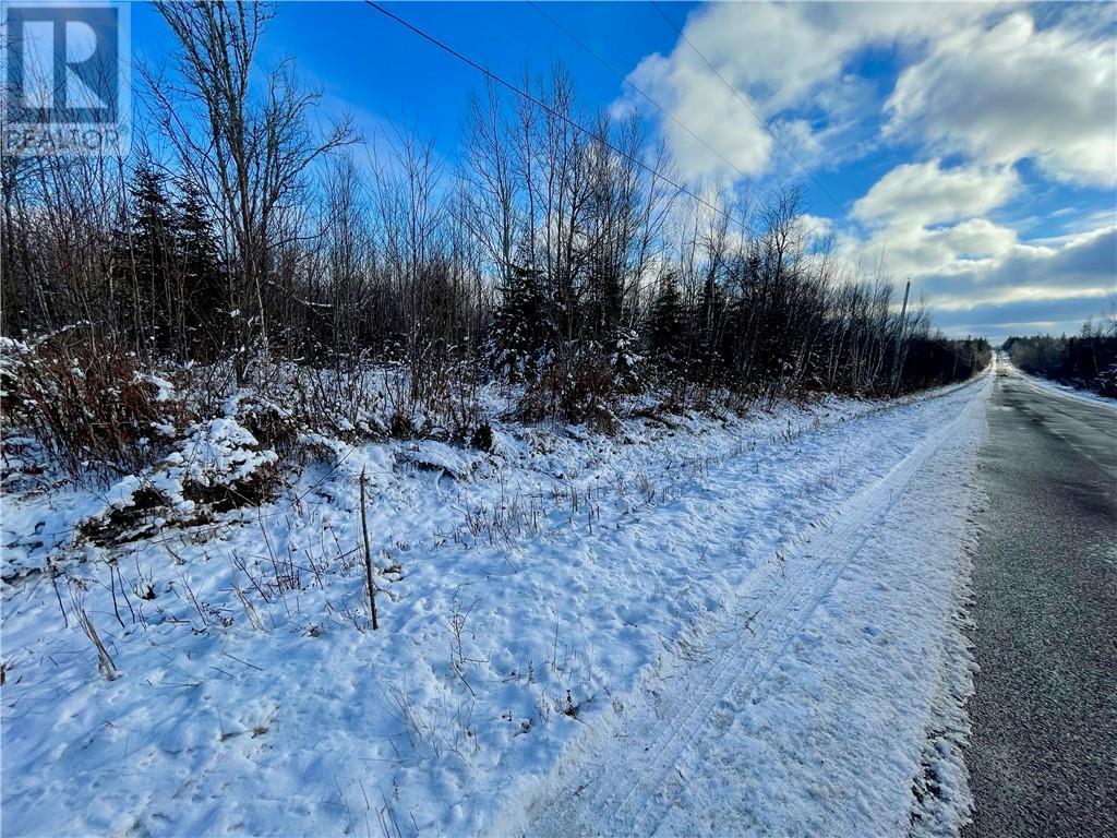 168 Collins Lake Road, Shemogue, New Brunswick  E4N 3B9 - Photo 10 - M156264