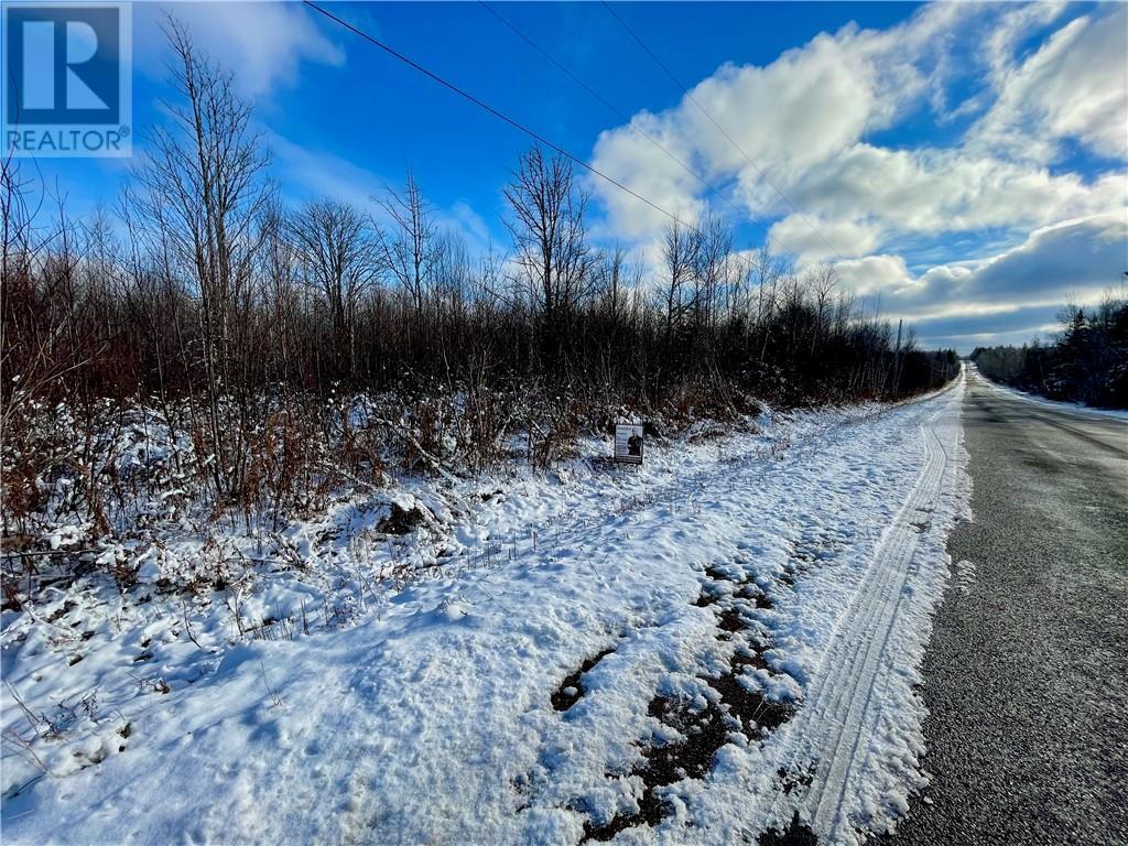 168 Collins Lake Road, Shemogue, New Brunswick  E4N 3B9 - Photo 13 - M156264