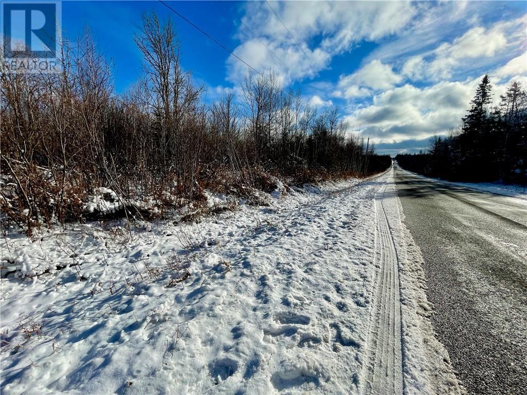 168 Collins Lake Road, Shemogue, New Brunswick  E4N 3B9 - Photo 6 - M156264